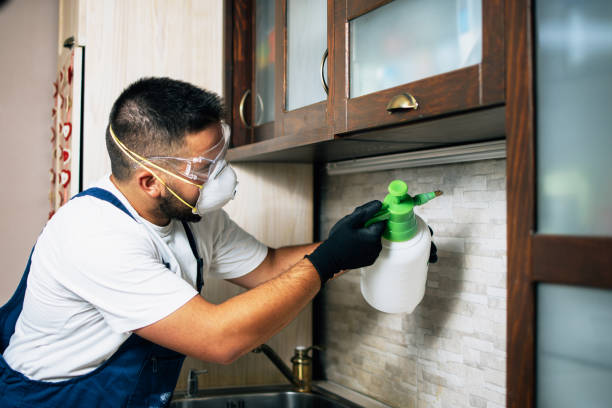 Best Wildlife Control Services  in Kings Mountain, NC